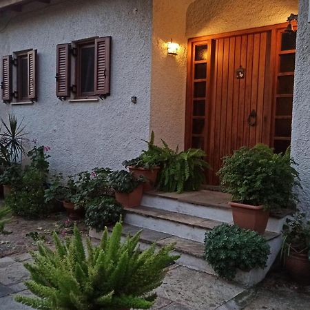 Nafpaktos Cottage By The Sea For Travelers And Dreamers! Esterno foto