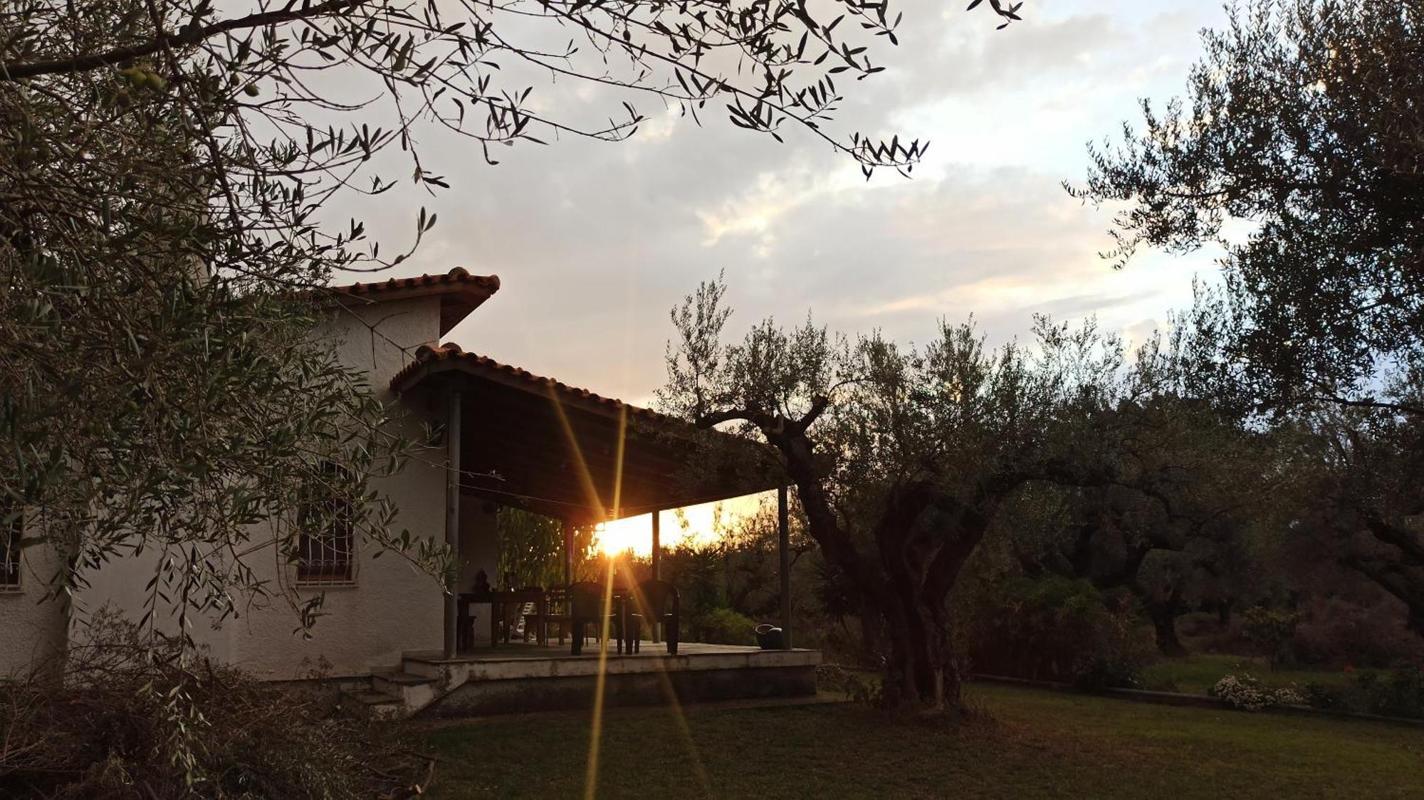 Nafpaktos Cottage By The Sea For Travelers And Dreamers! Esterno foto