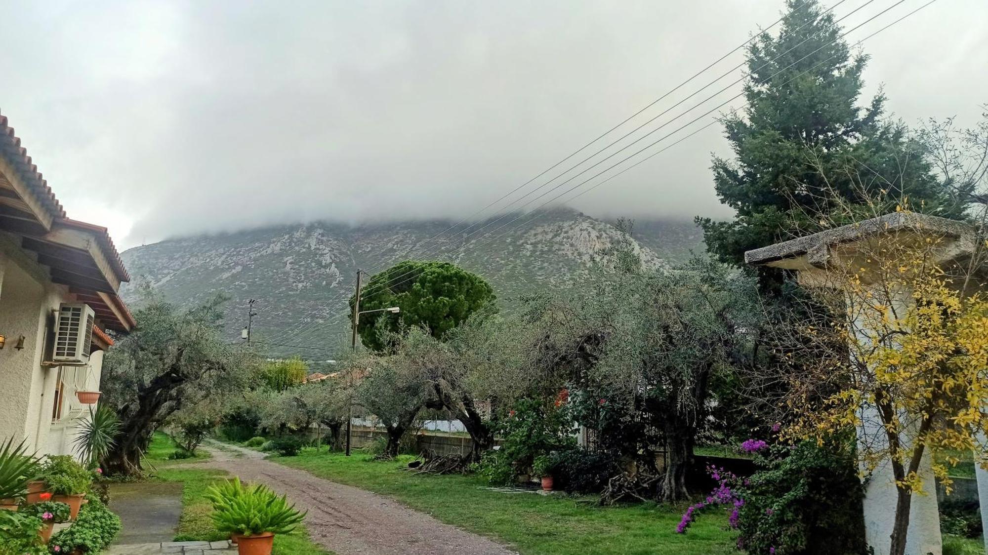 Nafpaktos Cottage By The Sea For Travelers And Dreamers! Esterno foto