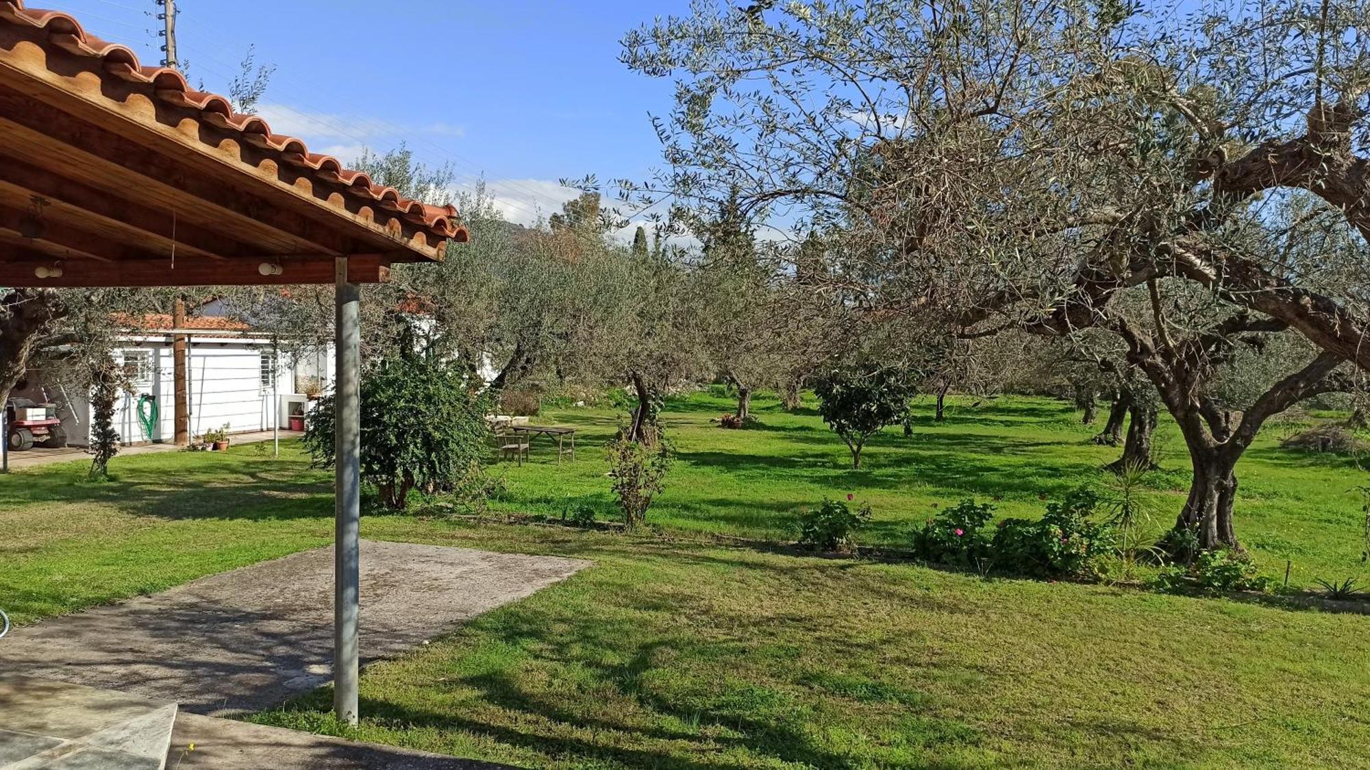 Nafpaktos Cottage By The Sea For Travelers And Dreamers! Esterno foto