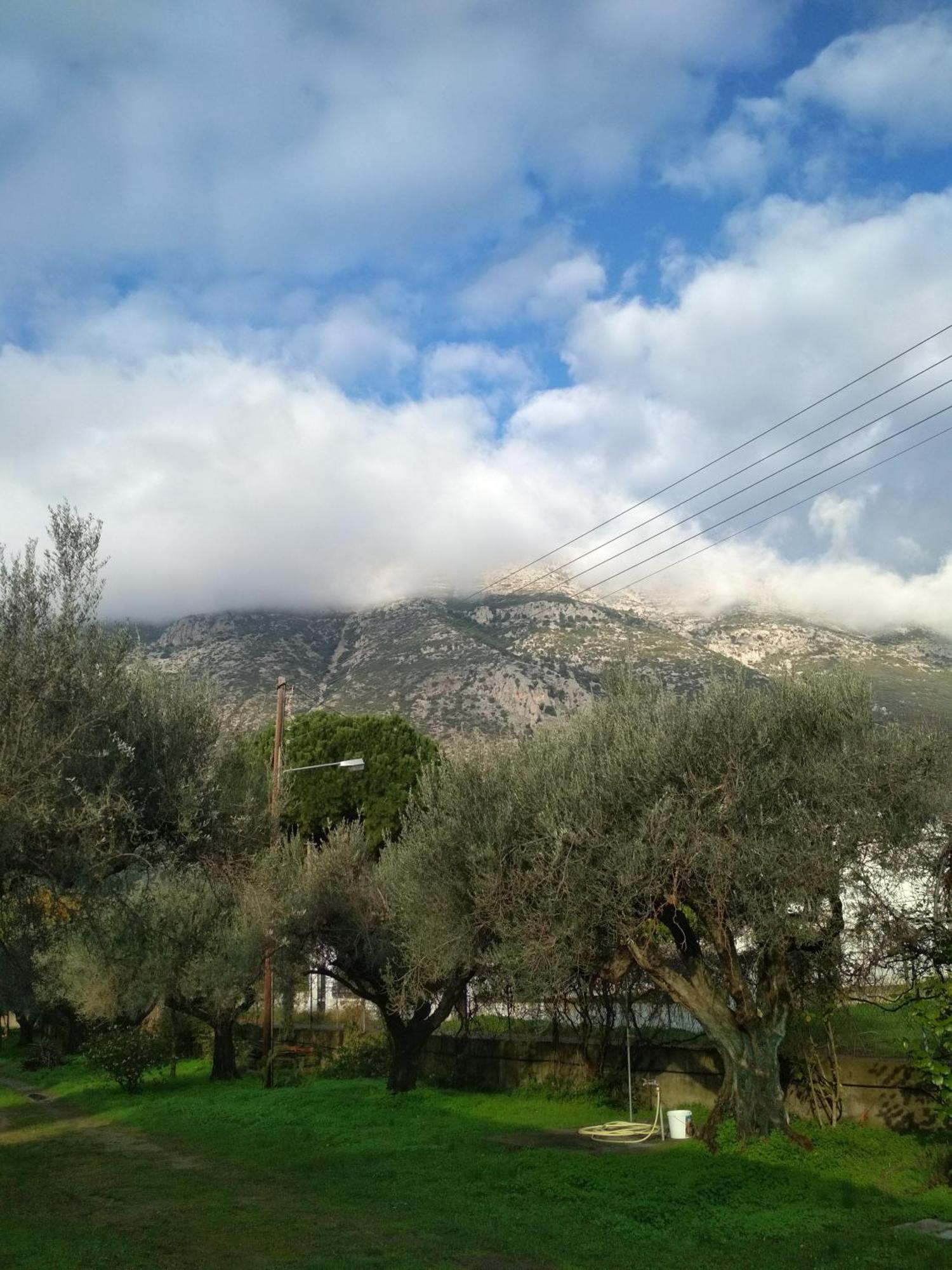 Nafpaktos Cottage By The Sea For Travelers And Dreamers! Esterno foto